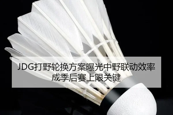 JDG打野轮换方案曝光中野联动效率成季后赛上限关键